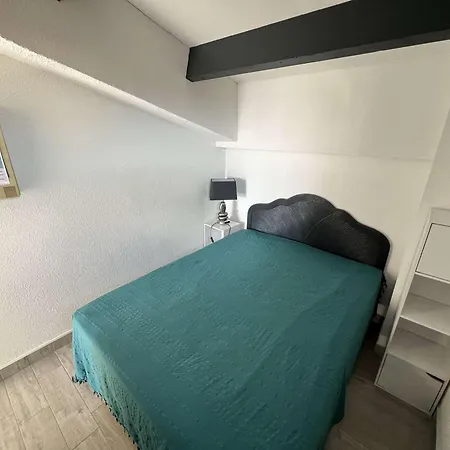 Apartment T2 Avec Climatisation, Piscine, Box Prive - Fr-1-702-6 Agde